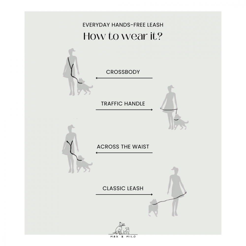 Everyday Collar Walk Bundle - Image 8