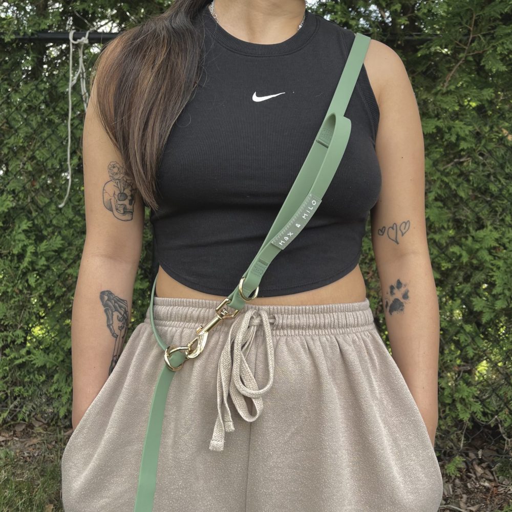 Everyday Collar Walk Bundle - Image 2