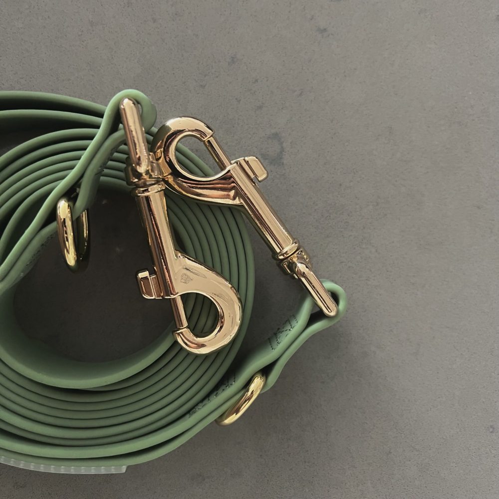 Everyday Hands-Free Leash - Image 6