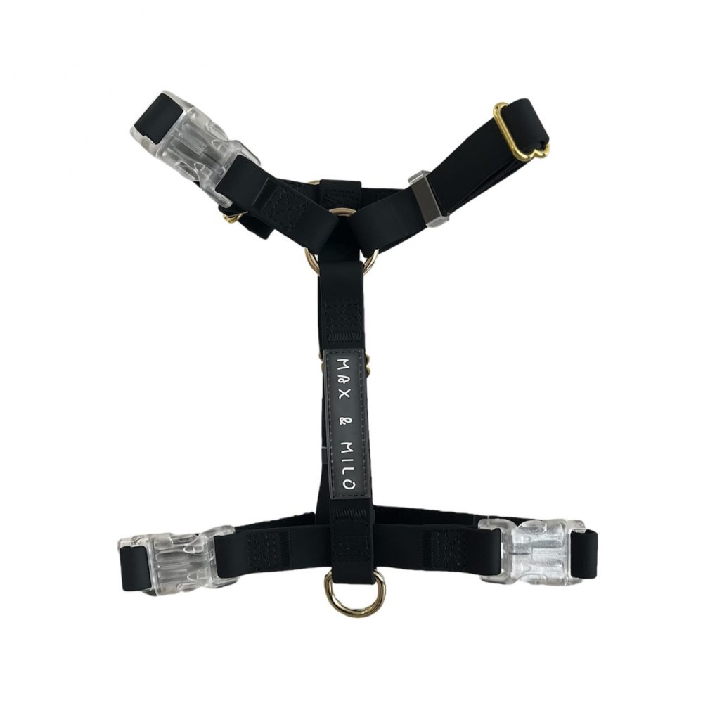 Everyday Harness
