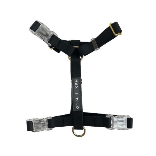 Everyday Harness