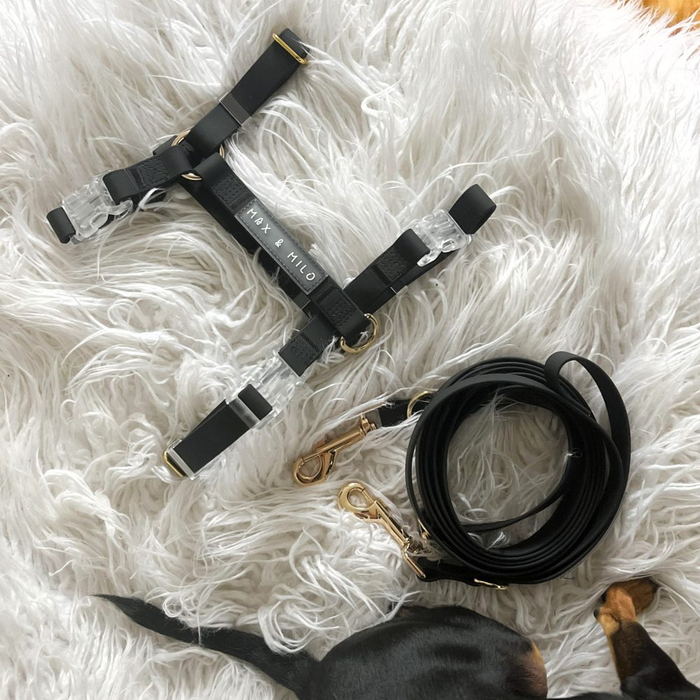 Everyday Harness Walk Set - Image 2