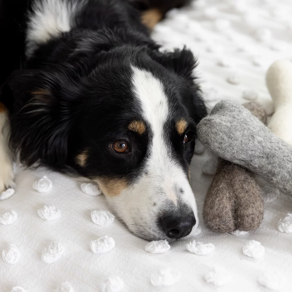 Wool Dog Bone - Image 3