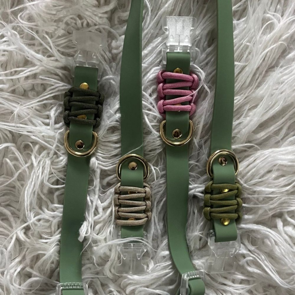 Everyday Dog Collar - Image 3