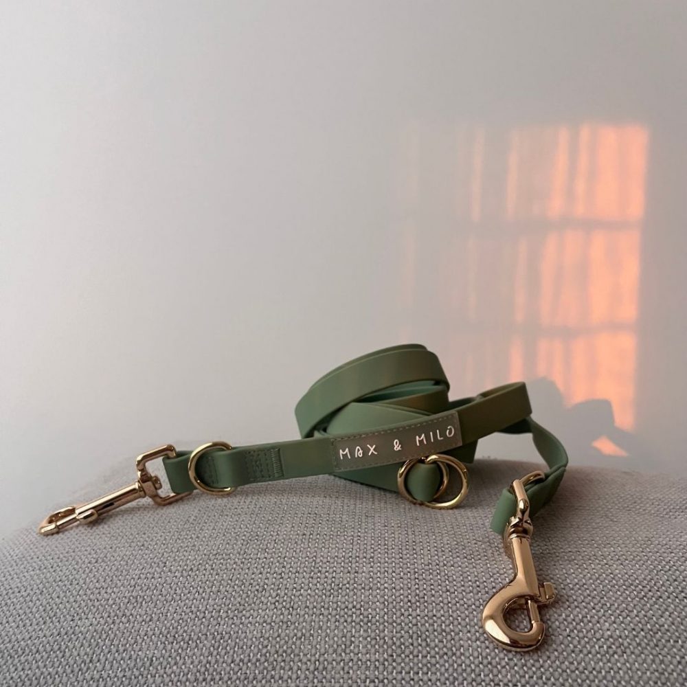 Everyday Collar Walk Bundle - Image 6