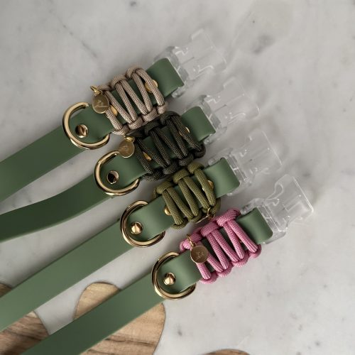Everyday Dog Collar