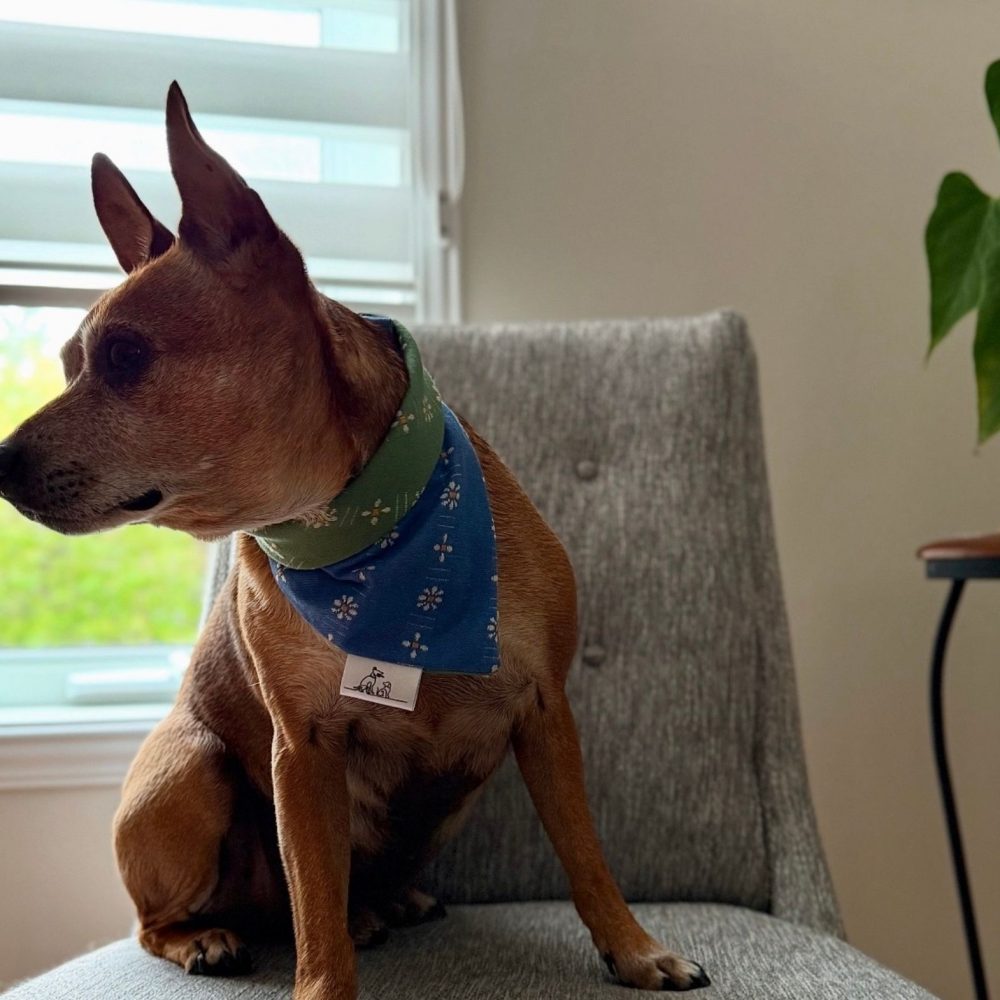Forage Bloom | Reversible Bandana - Image 7