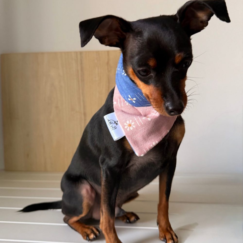 Forage Bloom | Reversible Bandana - Image 4