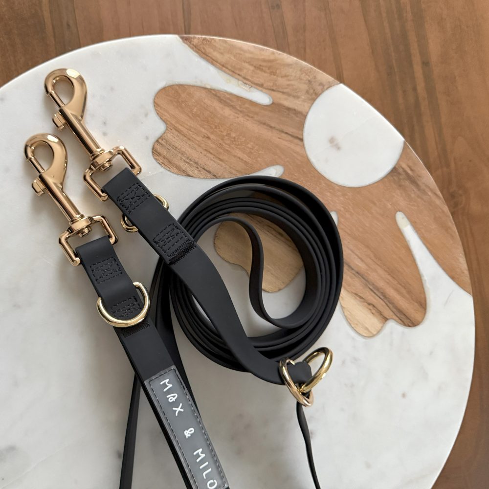 Everyday Harness Walk Set - Image 6
