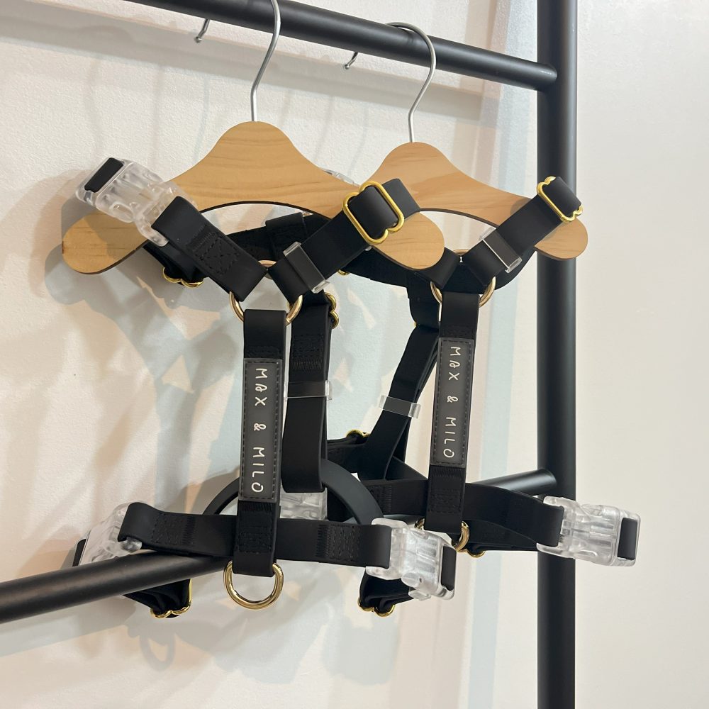Everyday Harness Walk Set - Image 4